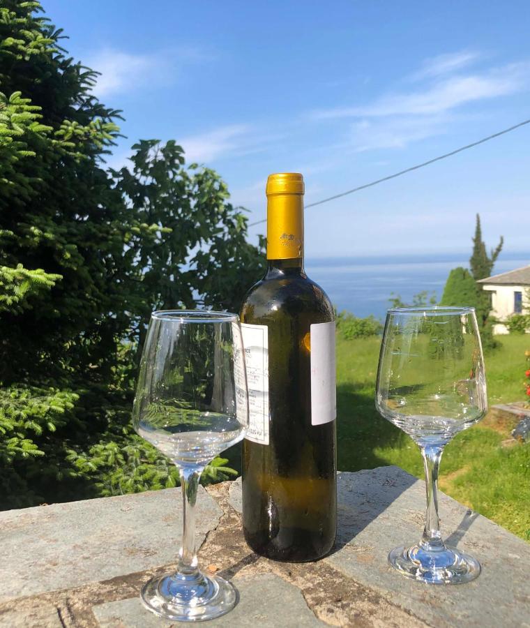 Timeless * Mouresi
